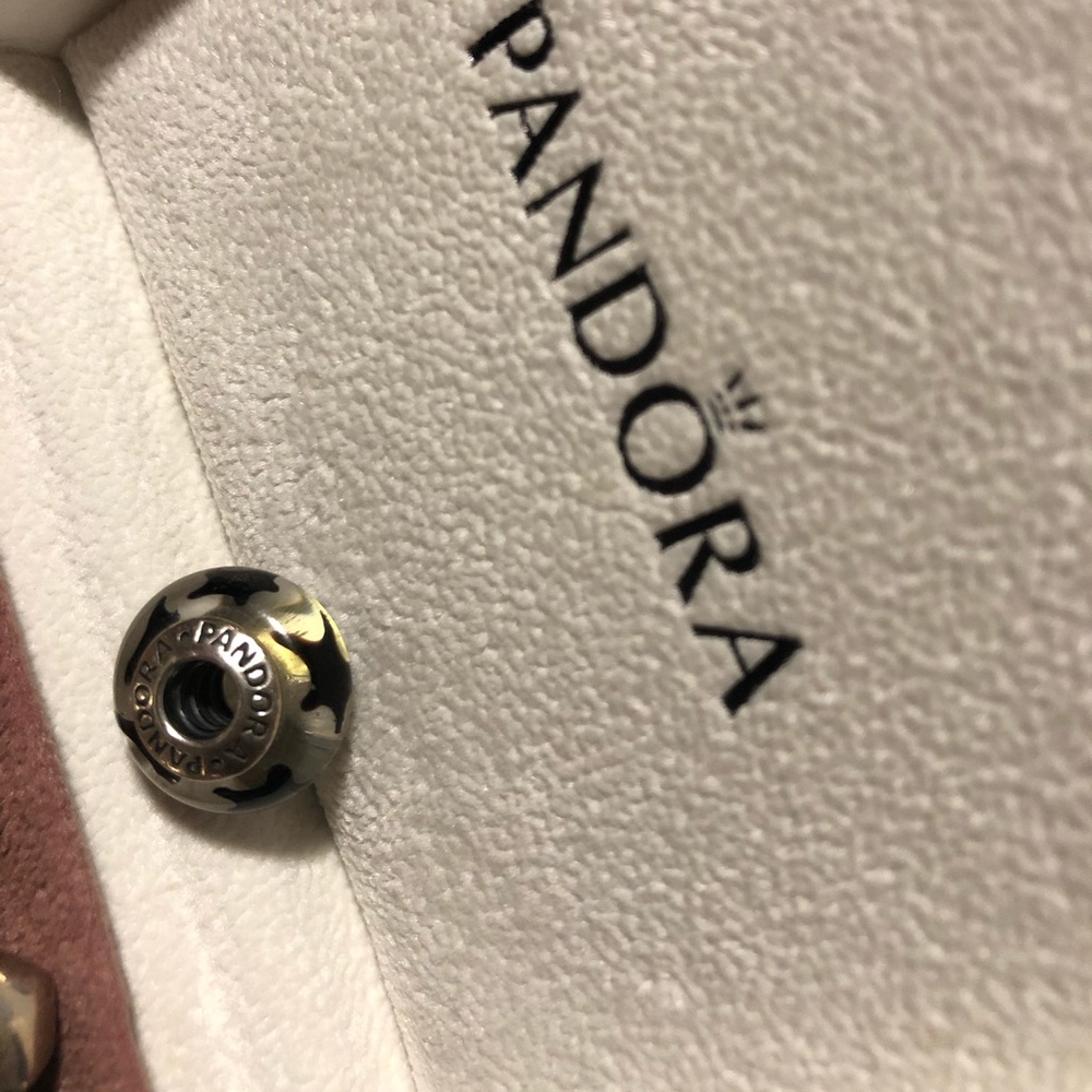 Pandora charm